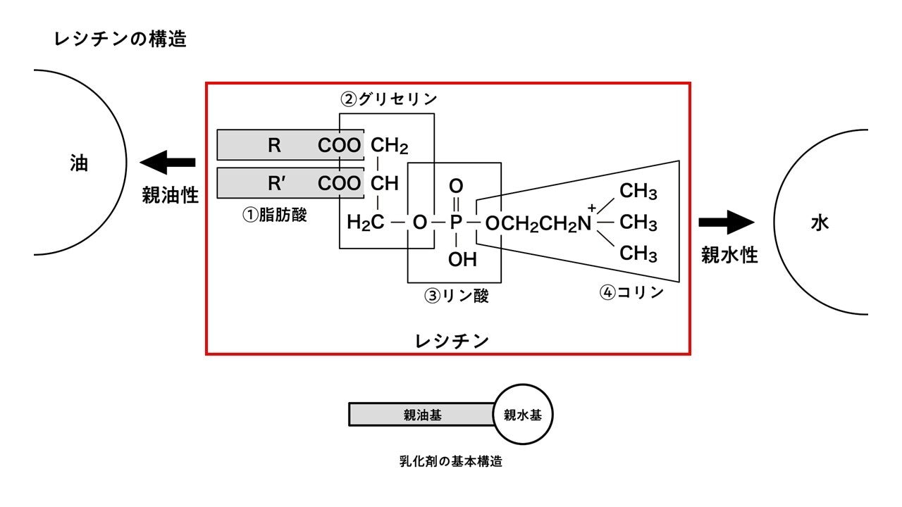 basic53_02.jpg