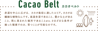 Cacao Belt カカオベルト 赤道を中心に広がる、カカオ栽培に適したエリア。カカオは繊細な植物なんです。高温多湿であること、豊かな土があること、雨に恵まれた場所であることetc.さまざまな条件が揃った環境でのみ、育つことが可能なのです。
