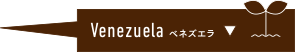 Venezuela ベネズエラ
