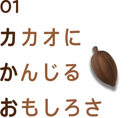 カカオにかんじるおもしろさ