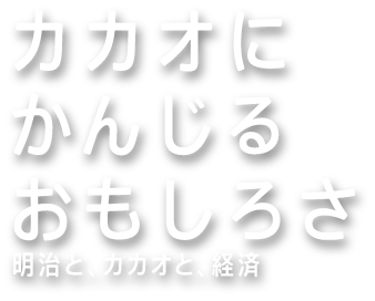 カカオにかんじるおもしろさ