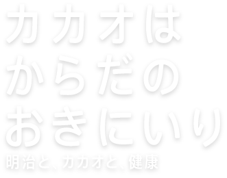 カカオはからだのおきにいり