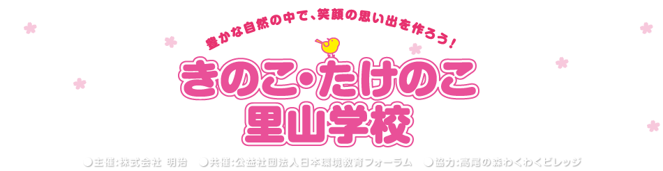 豊かな自然の中で、笑顔の思い出を作ろう！きのこ・たけのこ里山学校