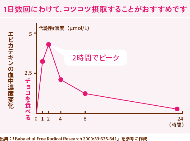 カカオポリフェノールは体にとどめておくことができない