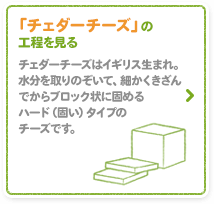 「チェダーチーズ」の工程を見る