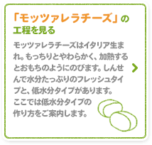 「モッツァレラチーズ」の工程を見る