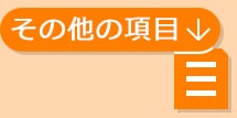 その他の項目