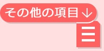 その他の項目