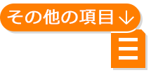 その他の項目