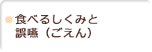 食べるしくみと誤嚥（ごえん）