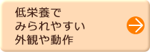 低栄養でみられやすい外観や動作