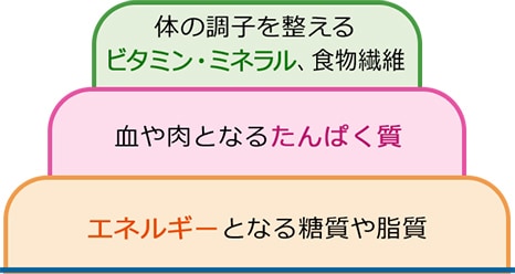 体の調子を整えるビタミン・ミネラル、食物繊維 血や肉となるたんぱく質 エネルギーとなる糖質や脂質