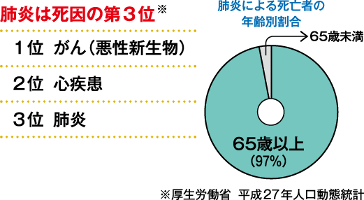 摂食嚥下に関わる各器官の名称