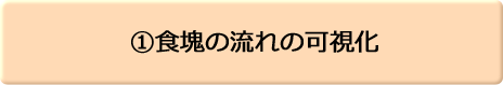 ①食塊の流れの可視化