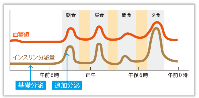 インスリンの基礎分泌と追加分泌　図1