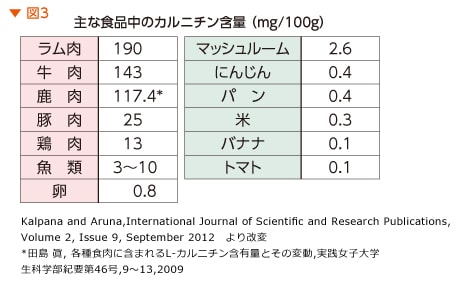 主な食品中のカルニチン含量