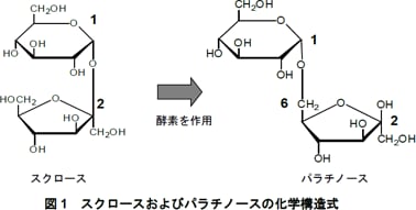 スクロースおよびパラチノースの化学構造式