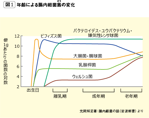 図1：年齢による腸内細菌叢の変化