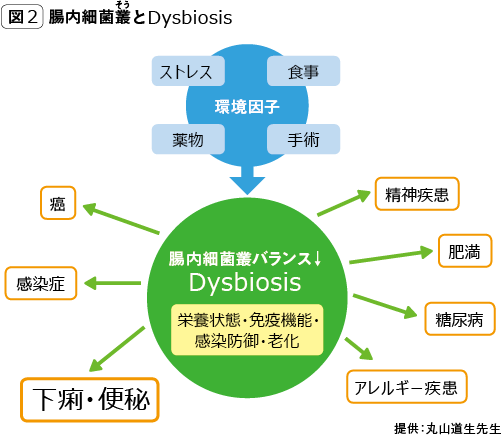 図2：腸内細菌叢とDysdiosis