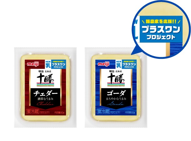 プラスワンプロジェクト ロゴ