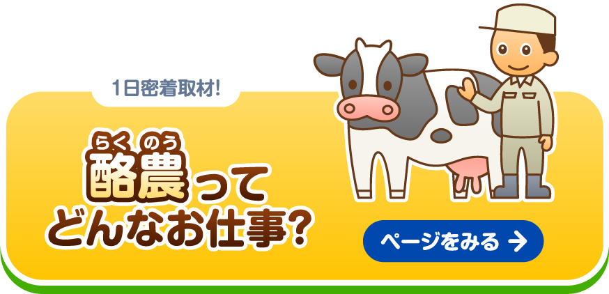 1日密着取材！酪農ってどんなお仕事？