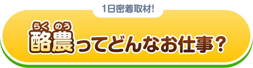 1日密着取材！酪農ってどんなお仕事？