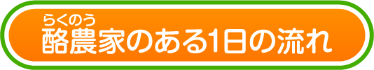 酪農家のある1日の流れ