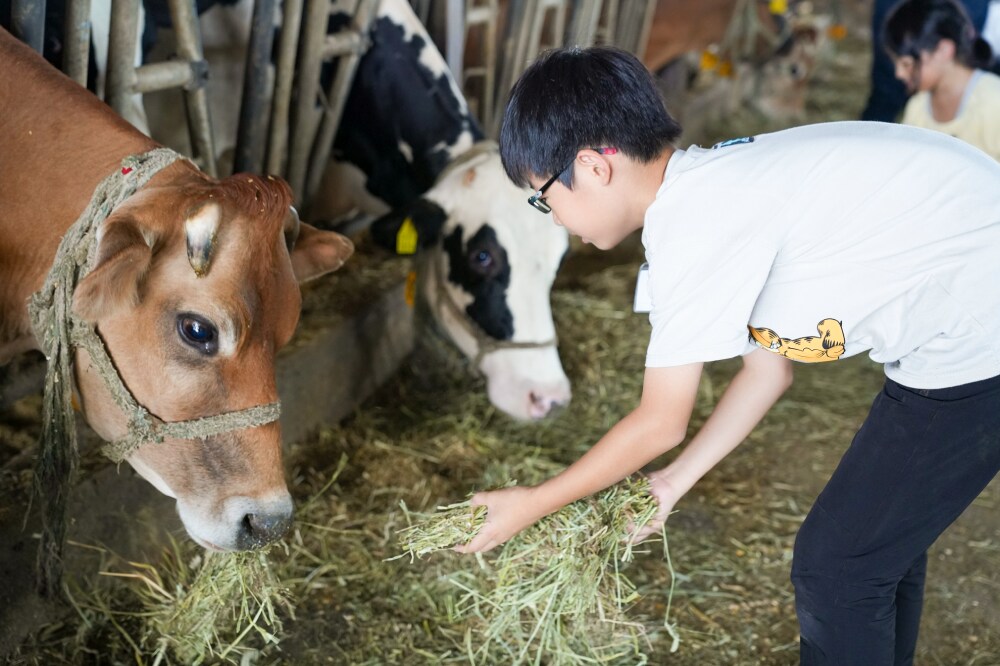 安孫子牧場 酪農体験