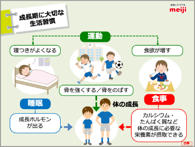 考えよう！成長期の体づくり スライドイメージ2