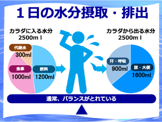 命を守る“水”見直そう！水分補給 スライドイメージ