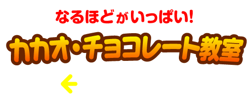 カカオ・チョコレート教室　トップにもどる