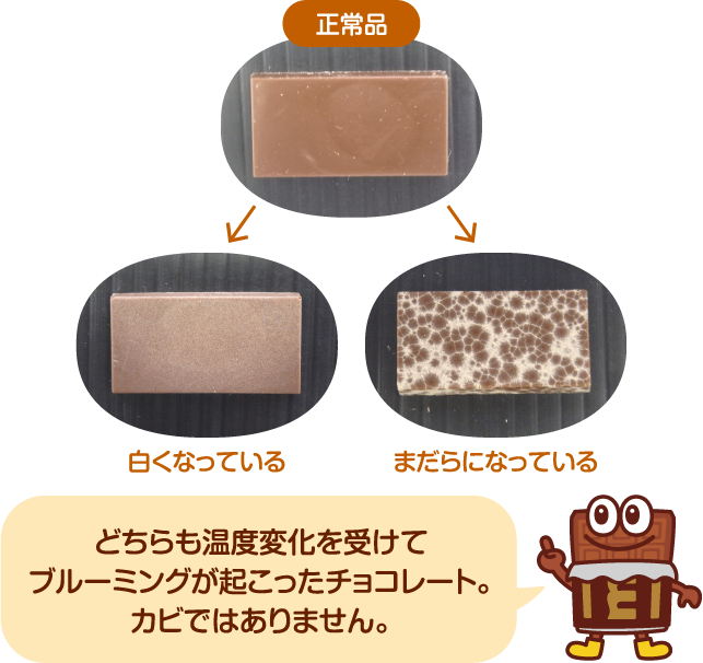 チョコレートｑ ａ カカオ チョコレート教室 明治の食育 株式会社 明治 Meiji Co Ltd