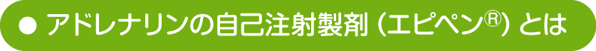 アドレナリンの自己注射製剤（エピペン<sup>®</sup>）とは