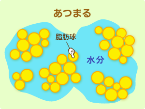 バターができる原理 イメージ2