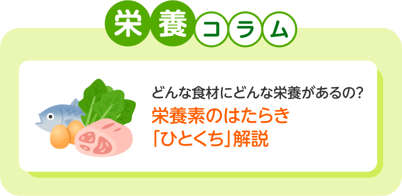 どんな食材にどんな栄養があるの？「栄養素のはたらき「ひとくち」解説」