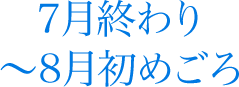 7月終わり～8月初めごろ