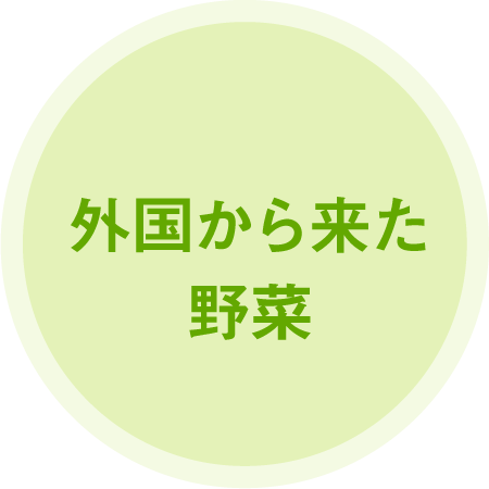 外国から来た野菜