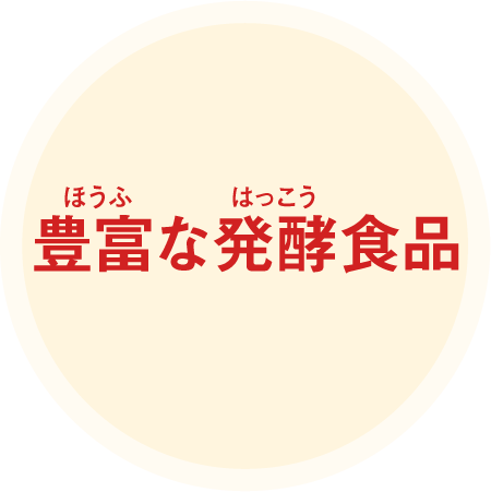 豊富な発酵食品