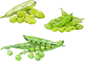 豆