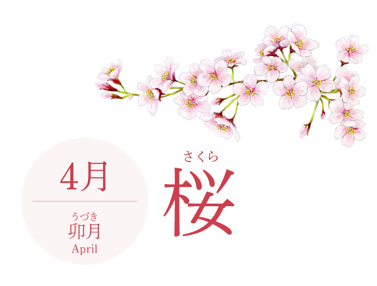 4月（卯月／April）『桜』