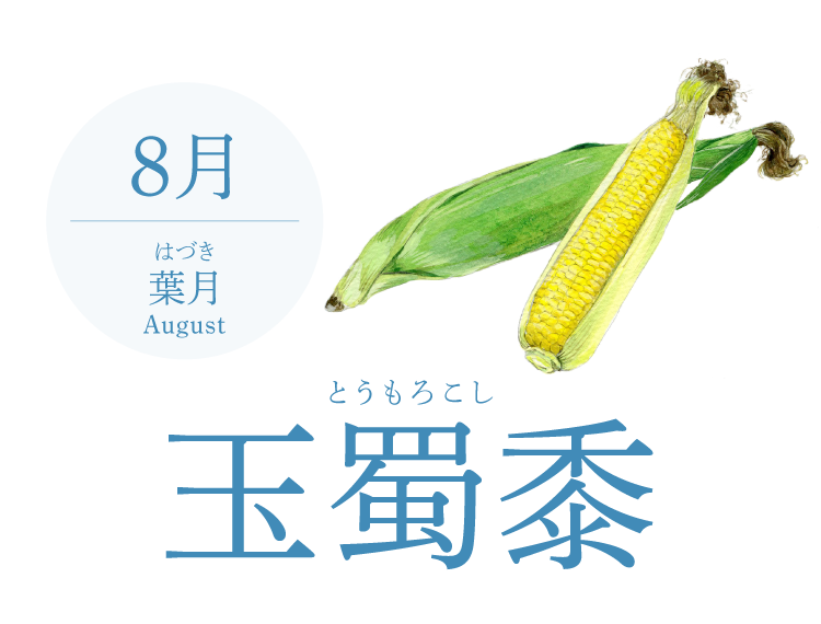 8月 葉月 August 玉蜀黍 食コラム 明治の食育 株式会社 明治 Meiji Co Ltd