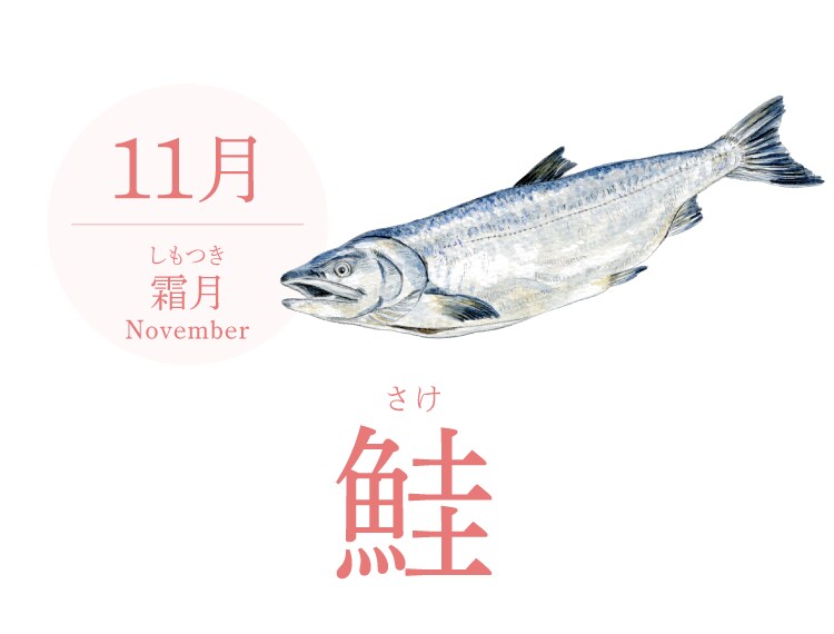 11月（霜月／November）『鮭』