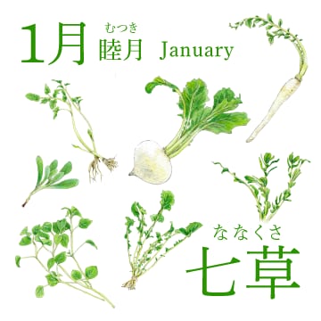 1月（睦月／January）『七草』