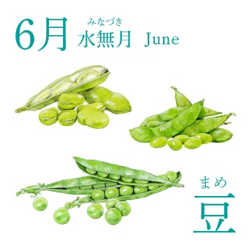 6月（水無月／June）『豆』