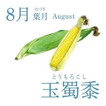 8月（葉月／August）『玉蜀黍』