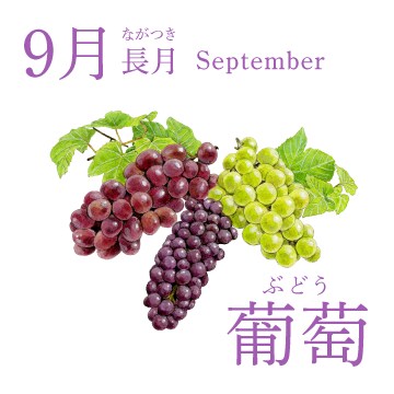 9月（長月／September）『葡萄』