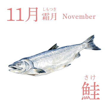 11月（霜月／November）『鮭』