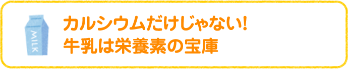 カルシウムだけじゃない！牛乳は栄養素の宝庫