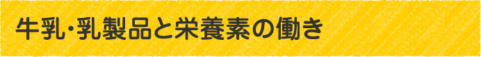 牛乳・乳製品と栄養素の働き