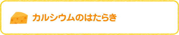 カルシウムのはたらき